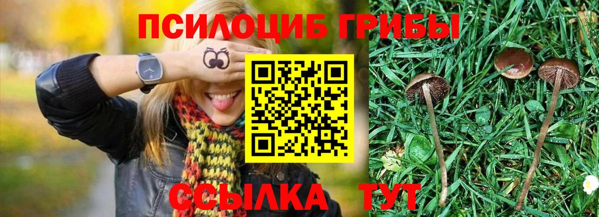 Псилоцибиновые грибы Magic Shrooms  Вход с VPN  Тутаев 